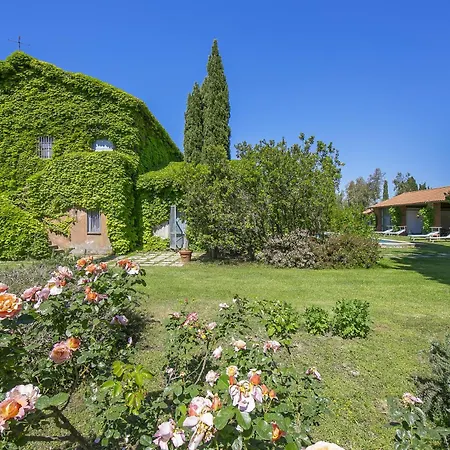 Casale Teresa - Happy